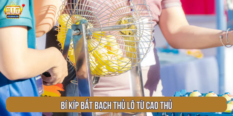 Bí kíp bắt bạch thủ lô từ cao thủ