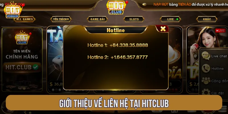 Liên hệ nhằm người chơi được hỗ trợ nhanh nhất