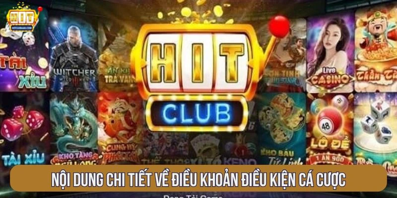 noi-dung-chi-tiet-ve-dieu-khoan-dieu-kien-ca-cuoc