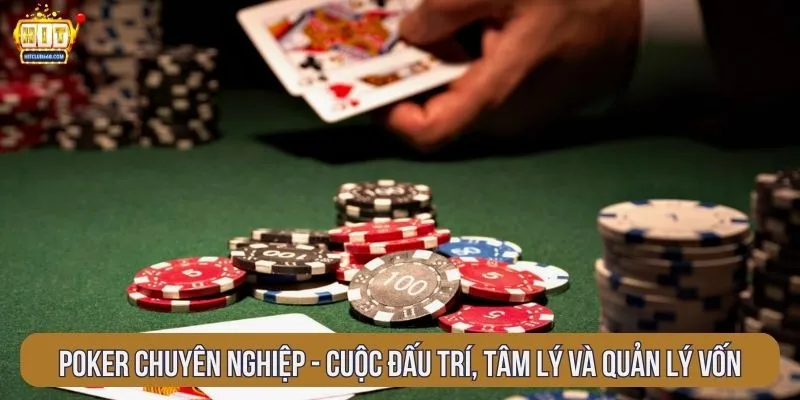 Poker chuyên nghiệp - cuộc đấu trí, tâm lý và quản lý vốn