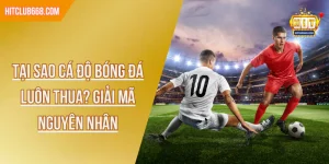 Tại Sao Cá Độ Bóng Đá Luôn Thua? Giải Mã Nguyên Nhân