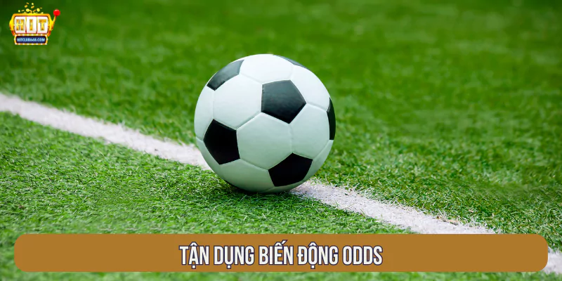 Tận dụng biến động odds