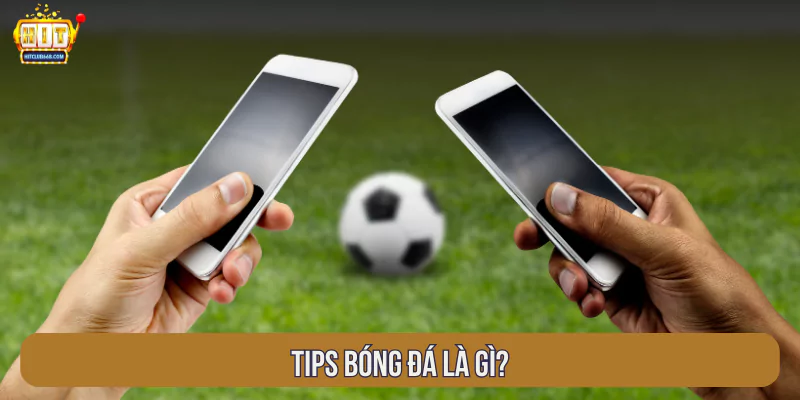 Tips bóng đá là gì?